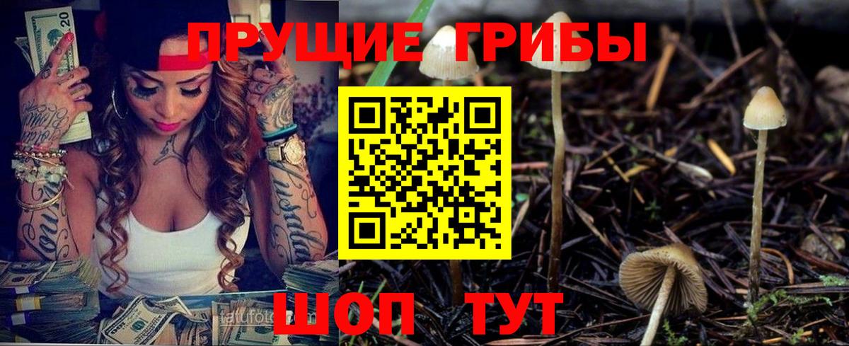 Галлюциногенные грибы MAGIC MUSHROOMS Заводоуковск