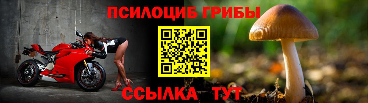 Псилоцибиновые грибы мицелий  Вход с VPN  Заводоуковск 